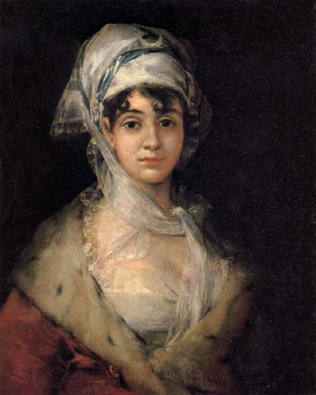 Francisco Jose de Goya Portrait of Antonia Zarate France oil painting art